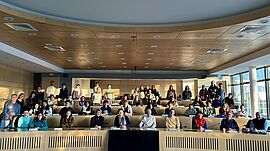 Agrandir l'image (fenêtre modale)