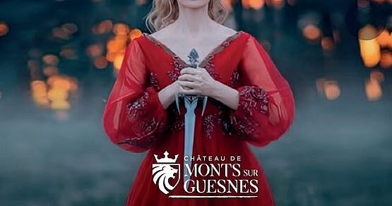Actualité - Voyagez dans le temps avec le Château de Monts sur Guesnes !
