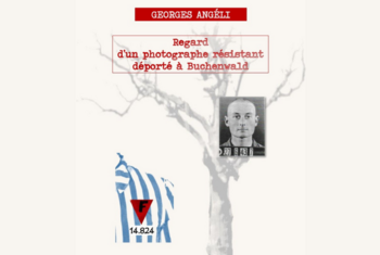 Agrandir l'image