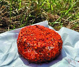 Agrandir l'image (fenêtre modale)