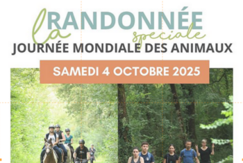 Agrandir l'image