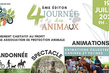 Agrandir l'image