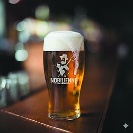 Agrandir l'image (fenêtre modale)