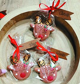 Agrandir l'image (fenêtre modale)