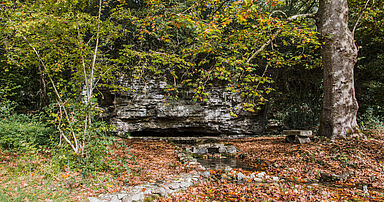 Agrandir l'image